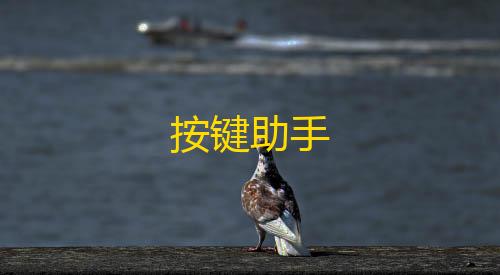 三角洲行动直装教程按键助手